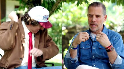 Hunter Biden Keeps It Deadpan During Comical Mid-Interview Bee Attack