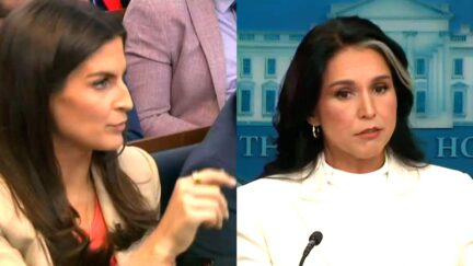 Kaitlan Collins Confronts Gabbard to Her Face With Brutal Trump Criticisms