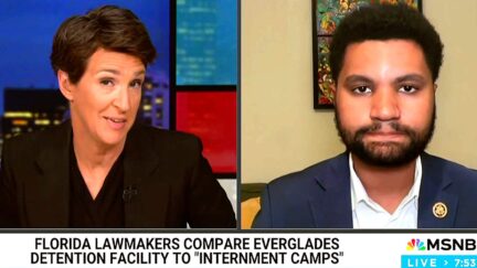 MSNBC's Rachel Maddow 'Struggling' With What To Call Trump Prisons — 'Concentration Camps' Or 'Internment Camps'
