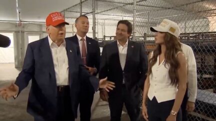 Donald Trump at Alligator Alcatraz