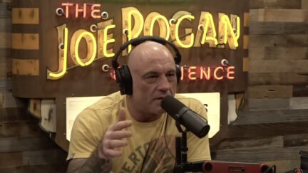 Joe Rogan