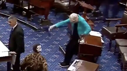 Elizabeth Warren falls on Senate floor