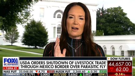 Trump Ag Chief Tells Fox No Amnesty For Farm Workers Days After Trump Floated