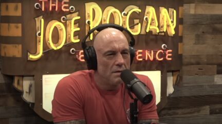Joe Rogan Calls Out ICE Raids