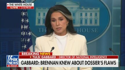 Tulsi Gabbard