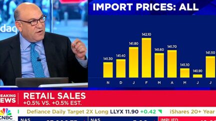 CNBC Anchor Contradicts Key Trump Boast — Foreign Companies NOT Eating Tariffs