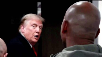 'Nah, I'm Good!' Trump Blown Off By Gov. Wes Moore In Clip Fox News Host Didn't Show