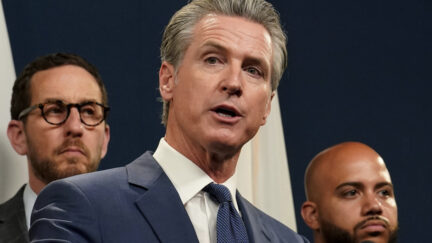 Gavin Newsom
