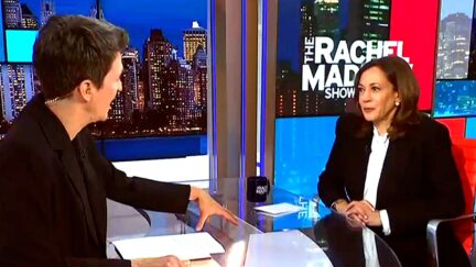 MSNBC's Rachel Maddow Straight-Up Asks Kamala Harris: 'Running Again