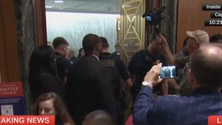 Protestor disrupts Robert F. Kennedy Jr. hearing