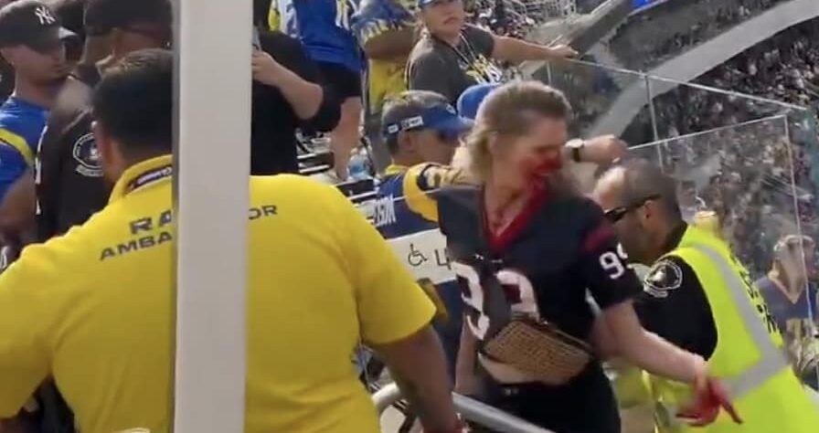 Texans Fan Left Bloodied After Violent Brawl in Stands