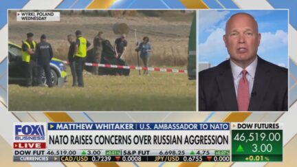 Matthew Whitaker