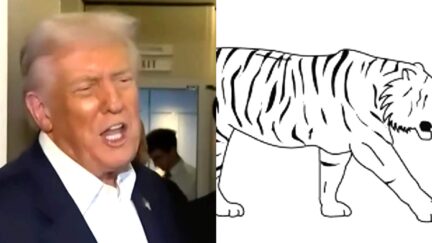 Disgraceful Media Blacks Out Stunning Trump Cognitive/IQ Test Rant — Hides Damning Facts Behind It