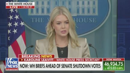 Karoline Leavitt Fox News