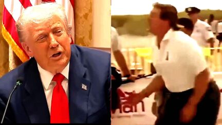 Trump Roasts Himself Over Unattractive Beach Body At Wild White House Scrum