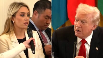 Trump Goes On Rant About Staying 'Very Liquid' When Fox Reporter Confronts Him Over Judge's SNAP-Food Stamps Order