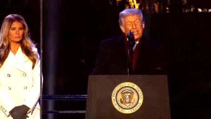 Trump Drops Weird Election Lie Rant Smack In Middle Of Christmas Tree Festivities