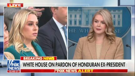 Leavitt and Heinrich