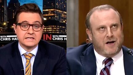'Brutal!' MS Host Chris Hayes Twists Knife On Trump Pick Grilled Over 'White Identity' At Hearing