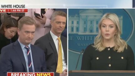 Peter Doocy, Karoline Leavitt