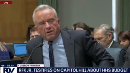 RFK Jr.