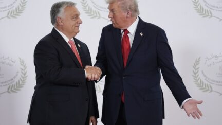 Trump and Orbán