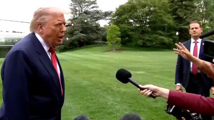 Reporter Straight-Up Asks Trump Will He Rejoin WHO Amid Hantavirus Scare