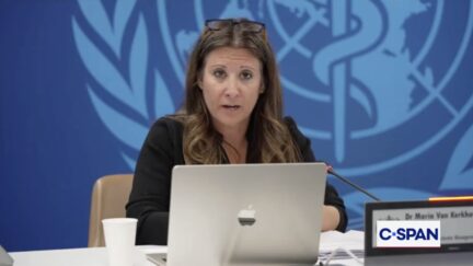 World Health Organization