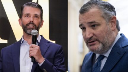 Ted Cruz Don Jr.