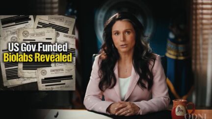 Tulsi Gabbard