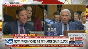 blumenthal and fauci on a split screen