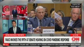 Elie Honig talks about Fauci invoking the Fifth Amendment before Congress