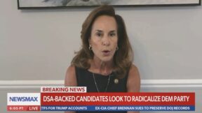 Lisa McClain on Newsmax