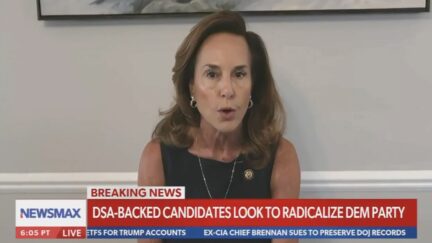Lisa McClain on Newsmax