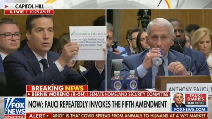 Bernie Moreno grilling Dr. Anthony Fauci at Senate hearing