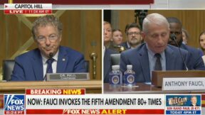 Rand Paul questioning Anthony Fauci at Senate hearing