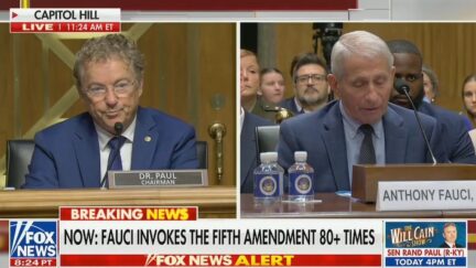 Rand Paul questioning Anthony Fauci at Senate hearing