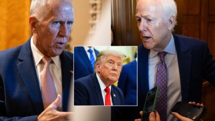 Tillis/Trump/Cornyn