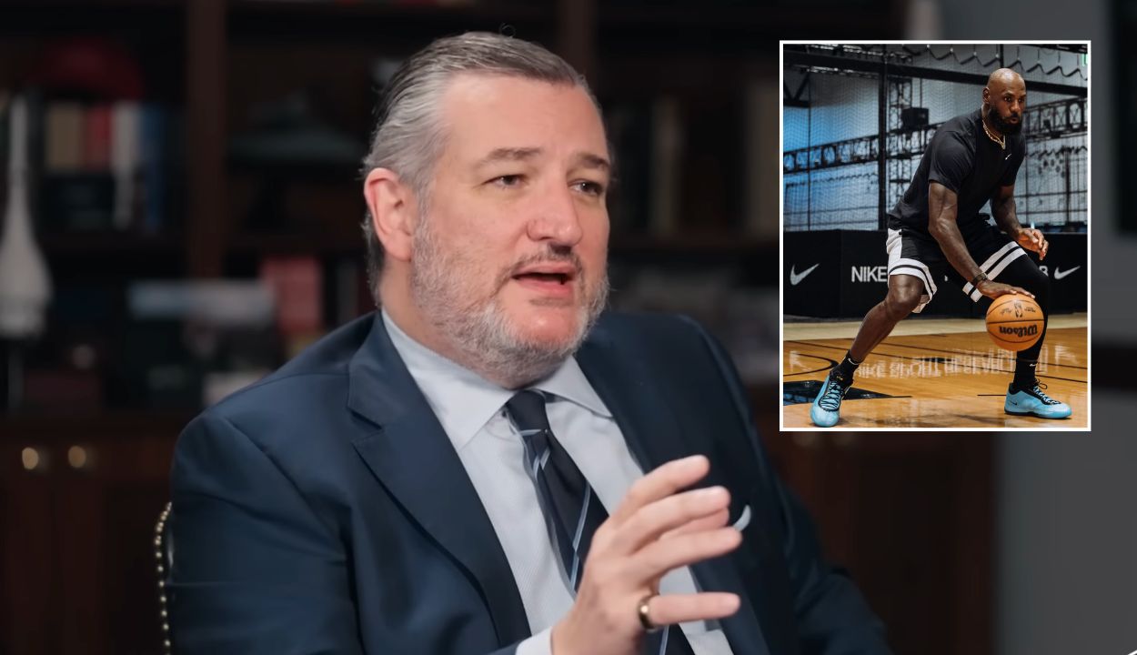 Ted Cruz bashed Nike for its "America-Hate" marketing plan which he said spurred the company's stock to crash