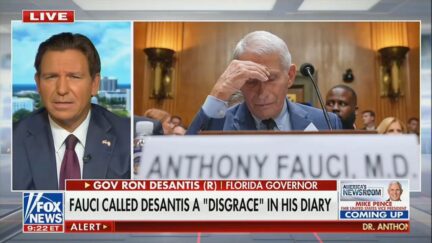 Ron DeSantis/Anthony Fauci