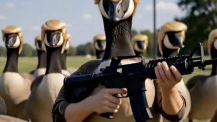 an ai duck with trump's hair and human arms holding an automatic rifle