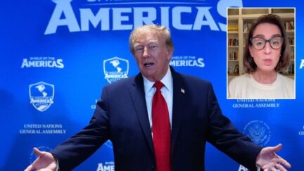 Donald Trump (AP Photo/Julia Demaree); Liz Oyer, Inset (Screenshot)
