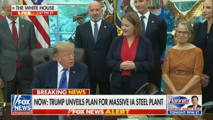 President Donald Trump
