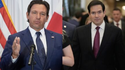 Ron DeSantis Marco Rubio