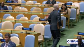 US delegate at UN General Assembly