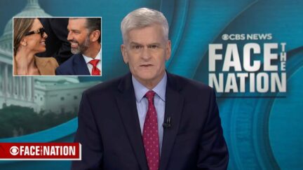 Bettina Anderson, Donald Trump Jr., Bill Cassidy