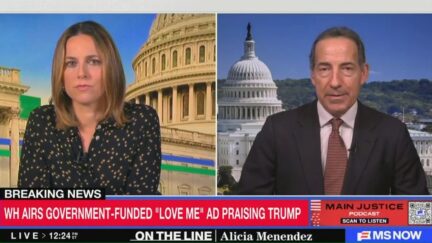 Alicia Menendez interviewing Jamie Raskin