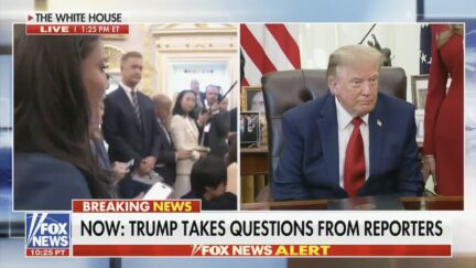 Donald Trump, Cara Castronuova