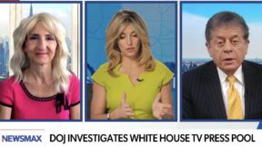 Newsmax panel