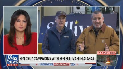 Aishah Hasnie, Dan Sullivan, Ted Cruz